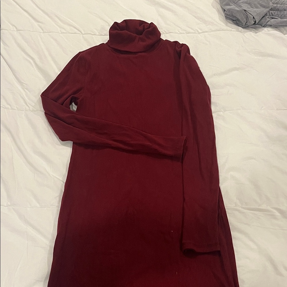 Burgundy Turtleneck Dress